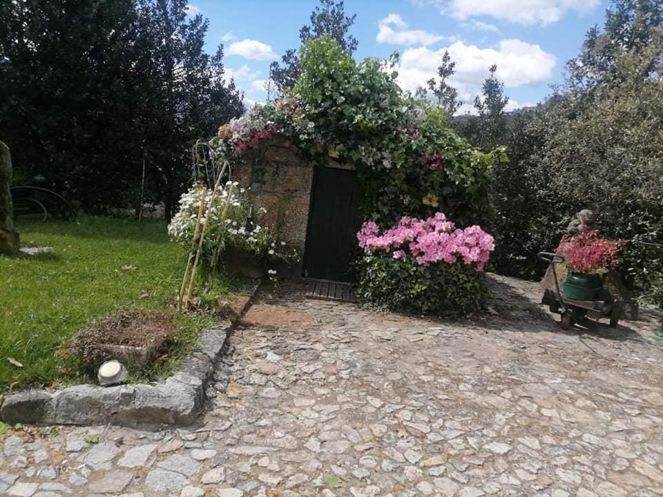 Quinta Da Cartida Villa Santa Marinha do Zêzere Exterior photo