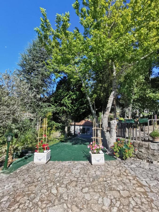 Quinta Da Cartida Villa Santa Marinha do Zêzere Exterior photo